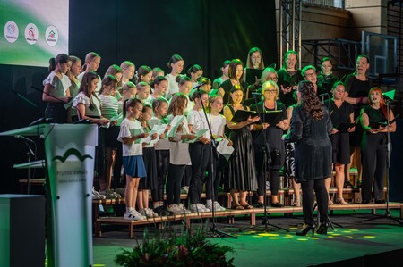 Gašper (53)